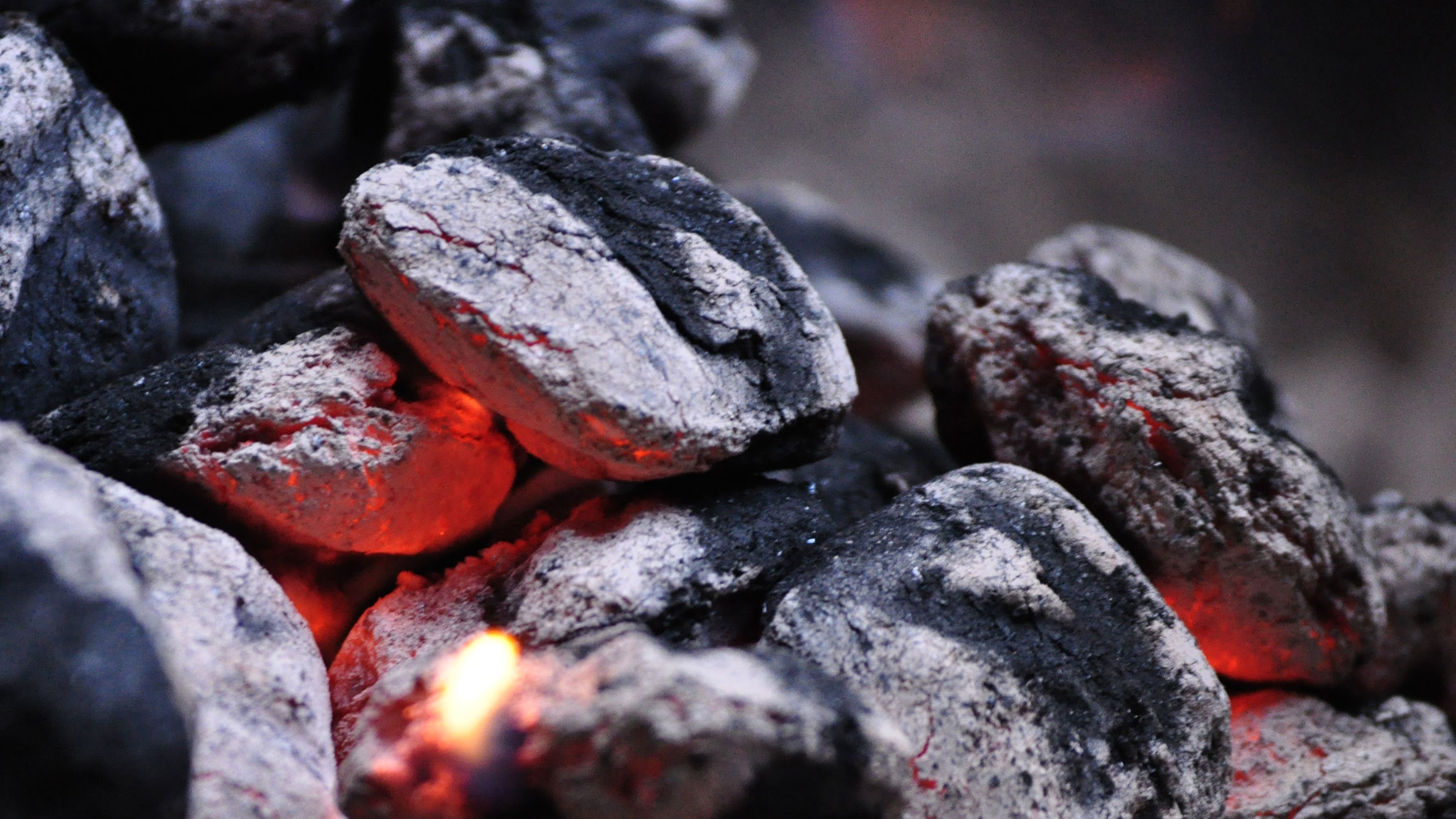 How to Solve the Deforestation: A Solution Using Bio-based Material for BBQ Briquettes