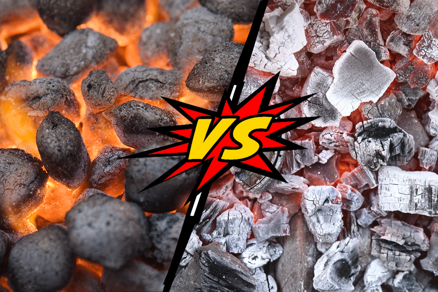 Which One Is Better: Biobased BBQ Briquettes or BBQ wood?