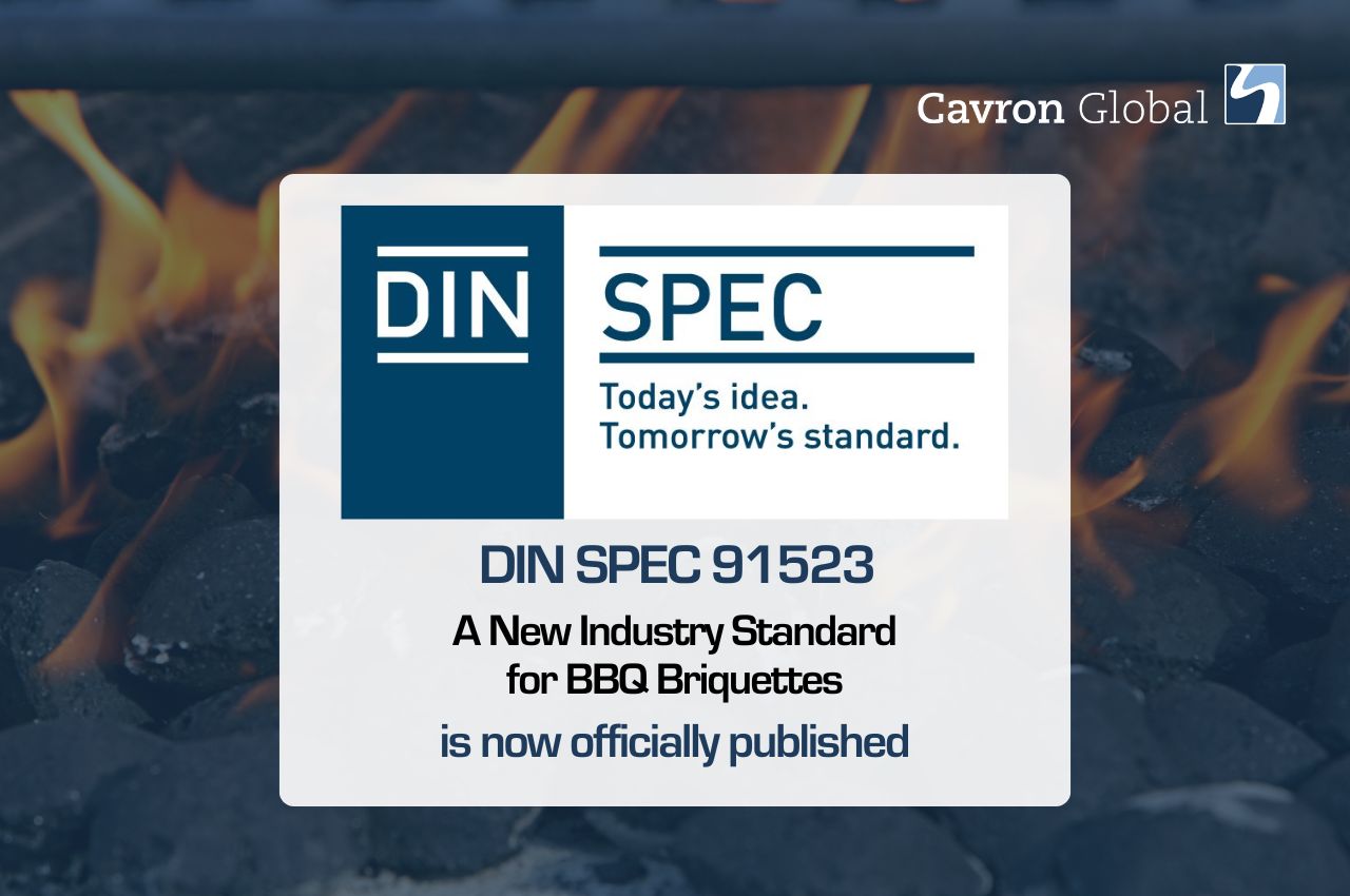 DIN SPEC 91523